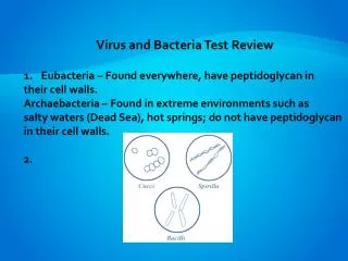 Virus and Bacteria Test Review