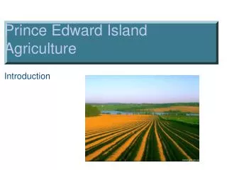 Prince Edward Island Agriculture