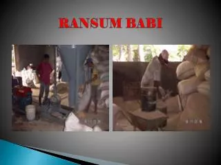 ransum babi