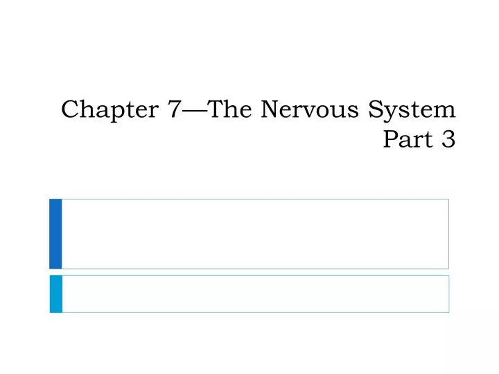 chapter 7 the nervous system part 3