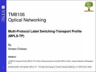 TM8106 Optical Networking