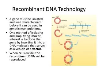 Recombinant DNA Technology