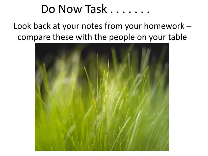 do now task