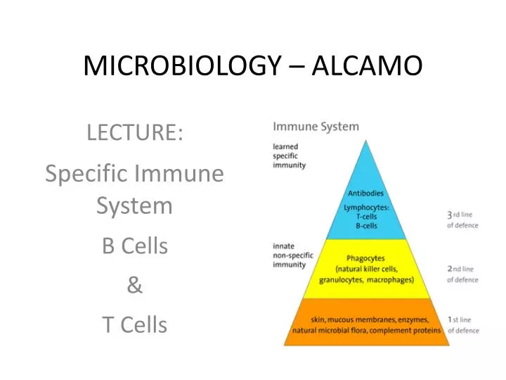 microbiology alcamo
