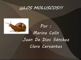los moluscos