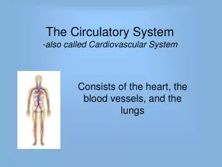 The Circulatory System -also called Cardiovascular System