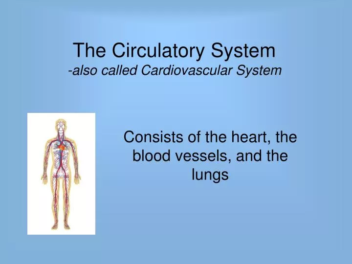 the circulatory system also called cardiovascular system