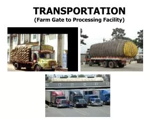 TRANSPORTATION (Farm Gate to Processing Facility)