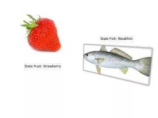 State Fruit : Strawberry