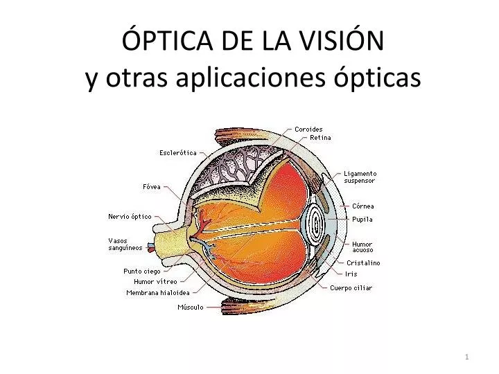 ptica de la visi n y otras aplicaciones pticas