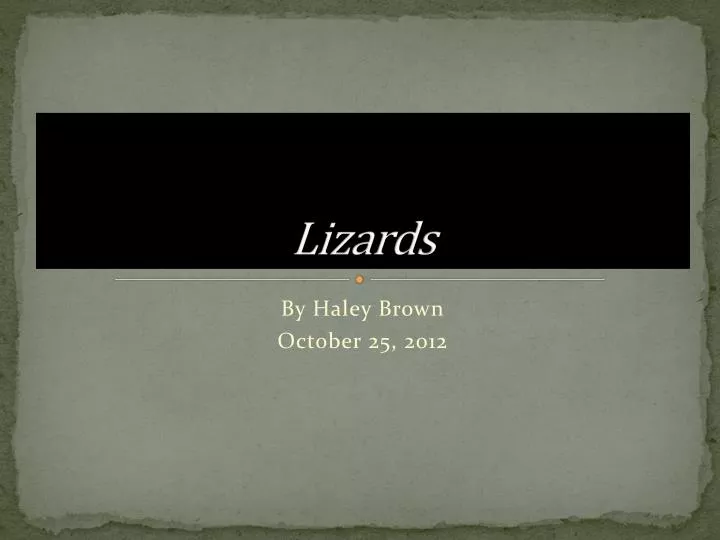 lizards