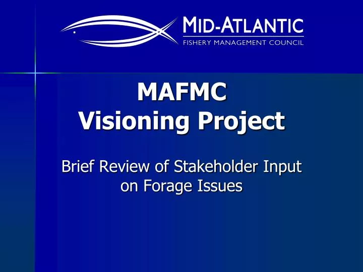 mafmc visioning project
