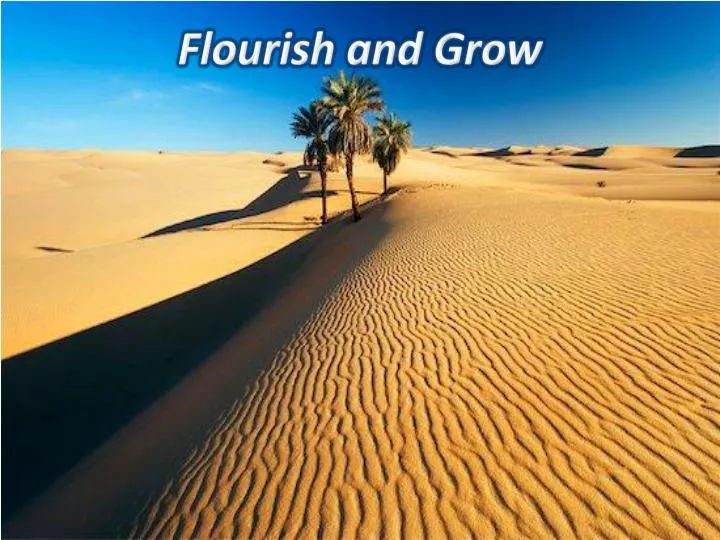 flourish and grow