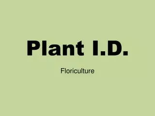 Plant I.D.