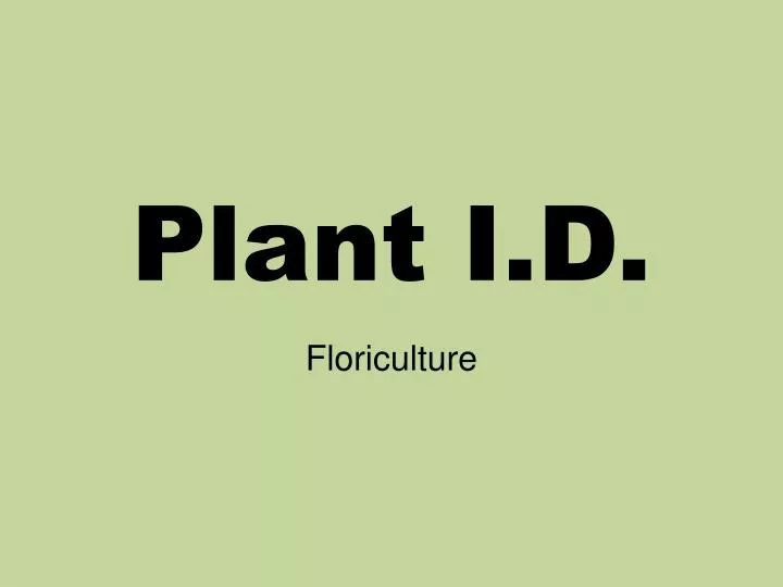 plant i d