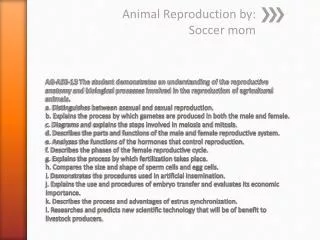 Animal Reproduction by: Soccer mom