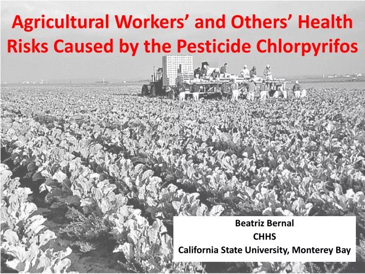 agricultural workers and others health risks caused by the pesticide chlorpyrifos