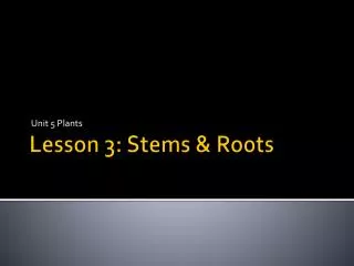 Lesson 3: Stems &amp; Roots