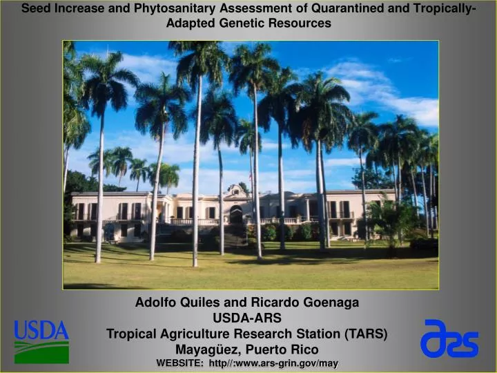 seed increase and phytosanitary assessment of quarantined and tropically adapted genetic resources