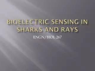 Bioelectric Sensing in Sharks and Rays