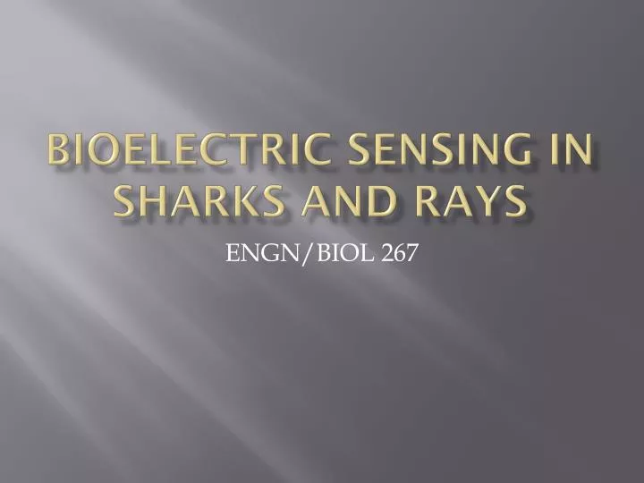 bioelectric sensing in sharks and rays