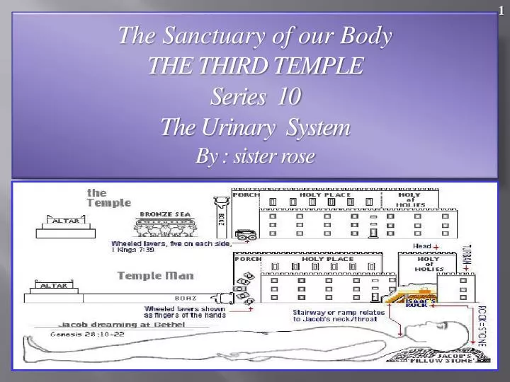 the sanctuary of our body the third temple series 10 the urinary system by sister rose