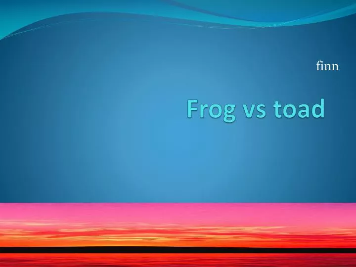 frog vs toad