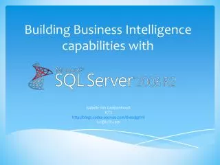 Building Business Intelligence capabilities with