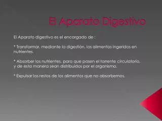 el aparato digestivo
