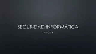 seguridad inform tica