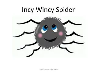 Incy Wincy Spider