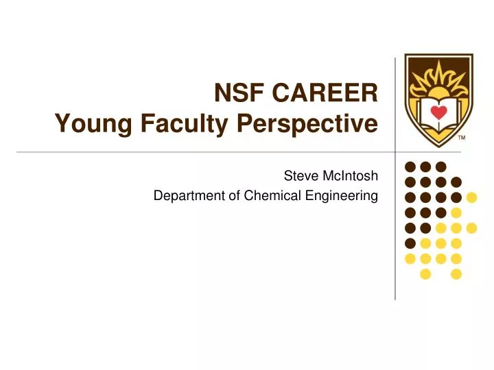 nsf career young faculty perspective