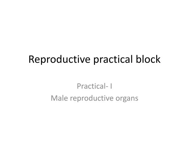 reproductive practical block