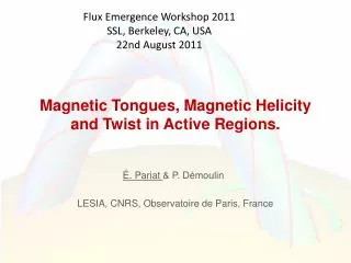 Magnetic Tongues, Magnetic Helicity and Twist in Active Regions.