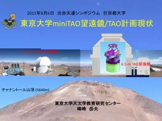 minitao tao