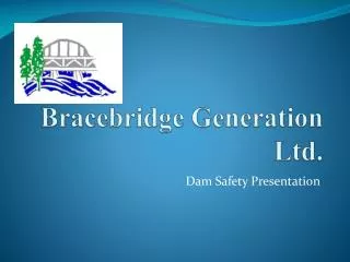 Bracebridge Generation Ltd.