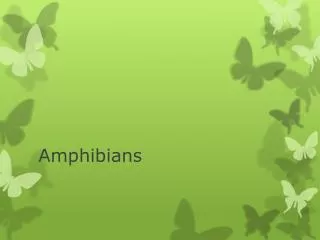 Amphibians