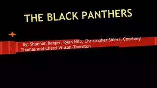 THE BLACK PANTHERS