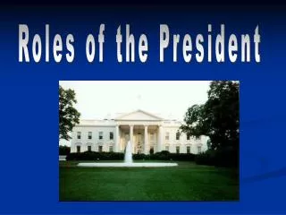 Roles of the President