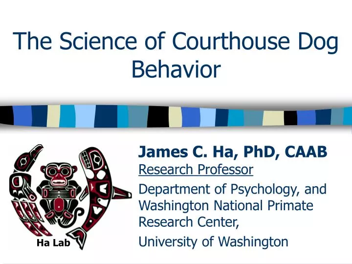 the science of courthouse dog behavior