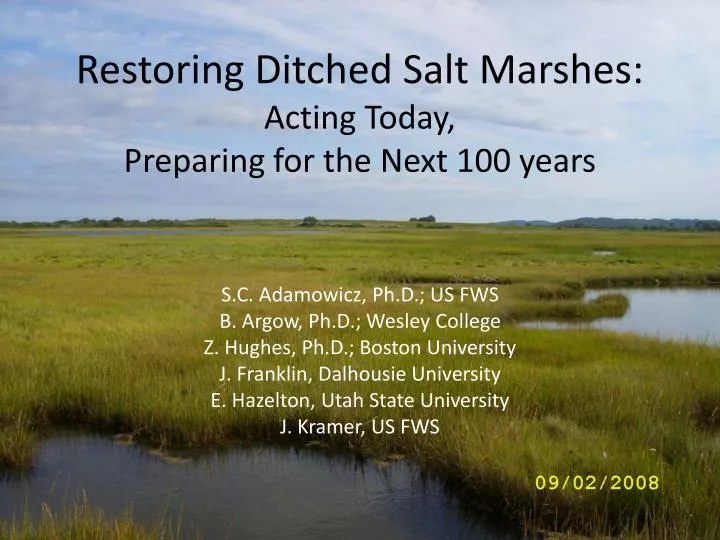 restoring ditched salt marshes acting today preparing for the next 100 years
