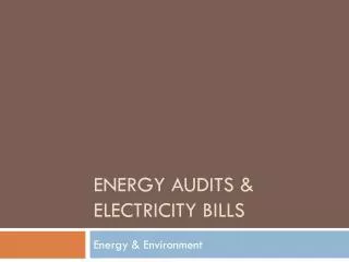 Energy Audits &amp; Electricity Bills