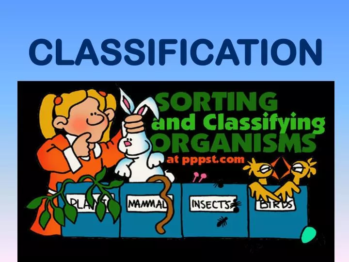 classification