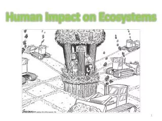 Human Impact on Ecosystems