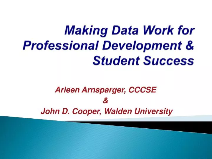 making data work for professional development student success