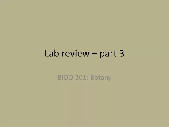 lab review part 3