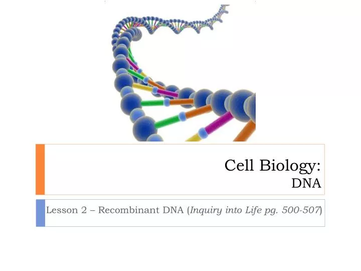 cell biology dna