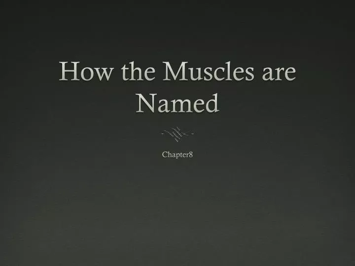 how the muscles are named