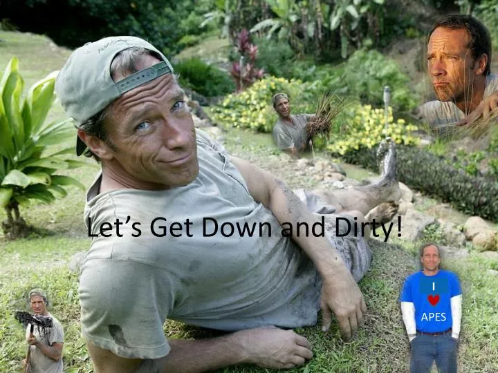 let s get down and dirty