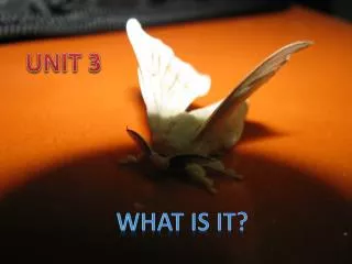 What is it ?